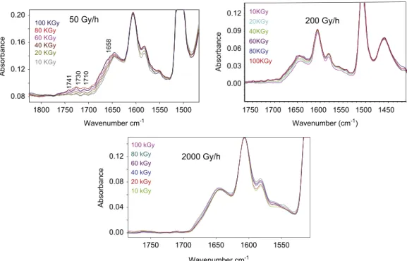 Fig. 10. FTIR spectra of DGEBA–PAA system during irradiation ageing at 25 1 C to an absorbed dose rate of 50, 200 and 2000 Gy h 1 .
