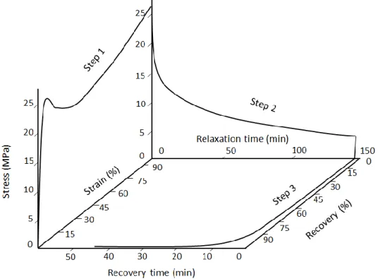 Figure 1 shows a three-dimensional demonstration of each cycle. As can be seen, each cycle consists  of three consecutive steps, stress–strain curve, stress-relaxation time evolution and recovery