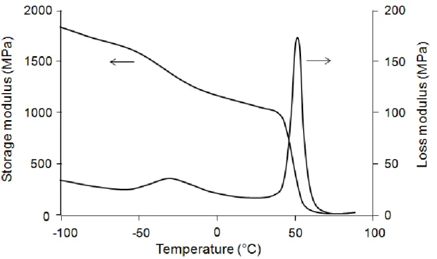Figure 2. Storage (E′) and loss modulus (E′′) spectra of polylactic acid (PLA)/polybutylene  succinate (PBS) blend