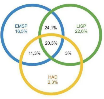 Figure 4 : Modes de collaboration entre EMSP, LISP et HAD en 2018