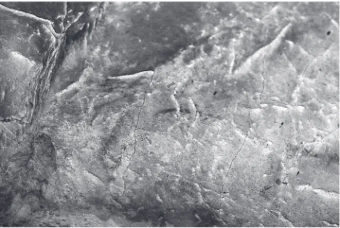 Fig. 14 – Plafond des Mains : l’avant-train de l’« aurochs-cheval ». La  ﬁgure a été entièrement tracée en jaune, puis elle a été partiellement  refaite en rouge.