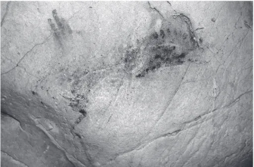 Fig. 8 – Galerie des Mains : arrière-train de bison noir dans lequel ont été emboîtées  une tête de bison et une tête d’herbivore, ﬁnement incisées.