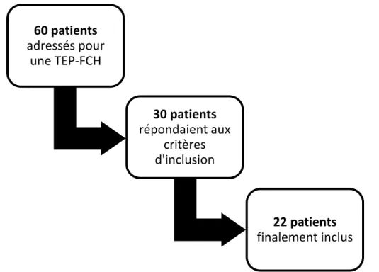 Figure 19 : Schéma représentant le processus d’inclusion des patients. 