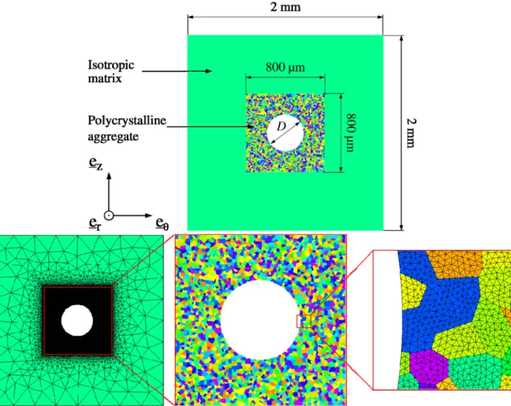 Figure 1: Shape and dimensions of the polycrystalline aggregate and the matrix used in the 2D finite element model.