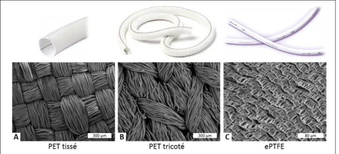 Figure 1.3 Prothèses vasculaires commerciales en (A) PET tissé ou (B) tricoté ou en (C)  ePTFE