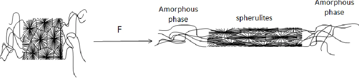 Figure 11. Orientation of amorphous and crystalline phases during tensile test. 