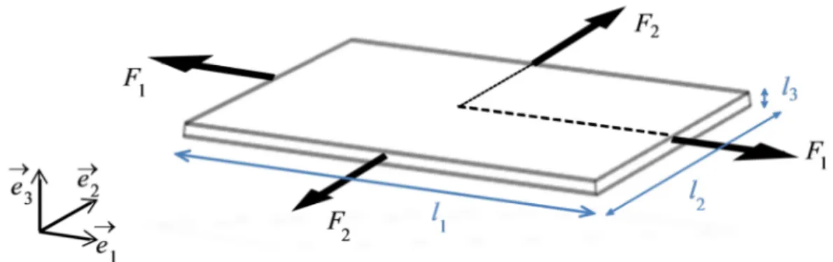Figure 1: Illustration of a metal sheet subjected to in-plane biaxial loading 