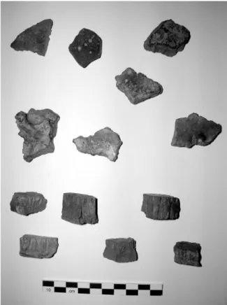 Fig. 7. Vue sur la tranche d’un fragment de scorie de Saint-Véran montrant, sur la surface de fracture, la  cou-che de morphologie prismatique qui occupe les 1-2  pre-miers millimètres sous la surface supérieure (en haut).