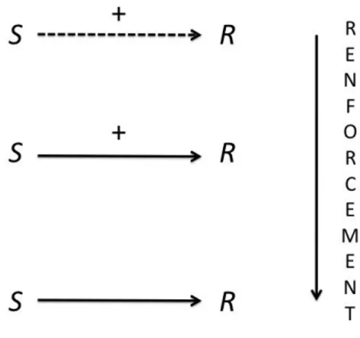 Fig 1.1 Conditionnement Pavlovien S = Stimulus, R = Réponse 
