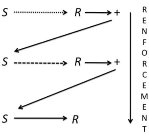 Fig 1.2. Conditionnement Opérant S = Stimulus, R = Réponse 