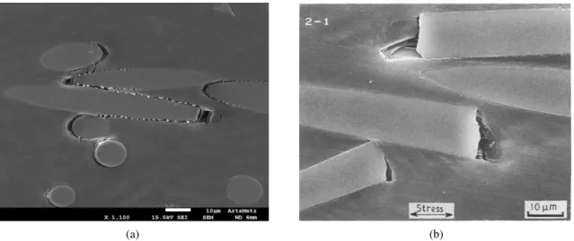 Figure 1: SEM observations of the interfacial debonding of PA66GF30 obtained by (a) Arif et al