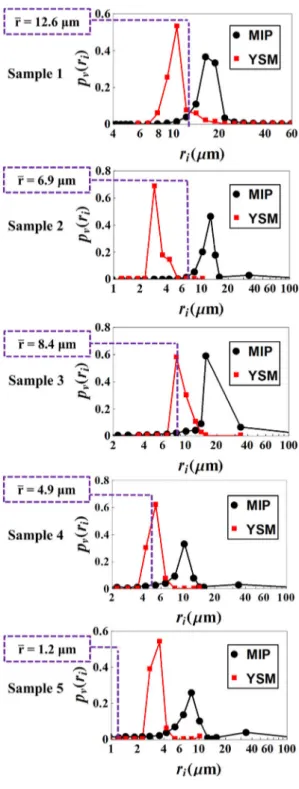 Fig. 6 PSDs obtained with YSM compared with those obtained with MIP. The average radius defined by Eq