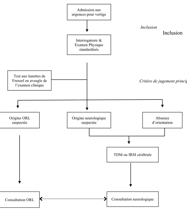 Figure 2. Schéma de prise en charge en soins courants du patient vertigineux aux urgences  