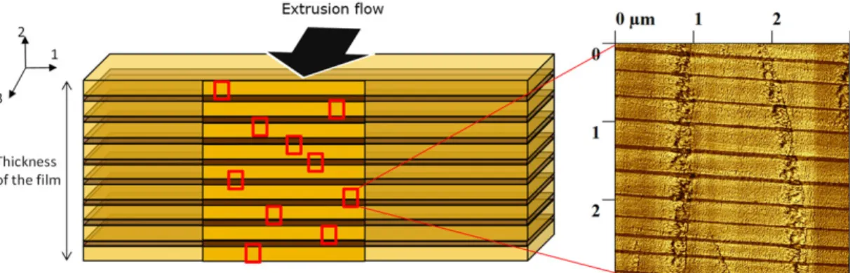 Fig. 2. AFM specimen and image analysis principle. The arrow represents the extrusion flow direction (left); AFM image of partial cross section of the sample (vertical lines are compression lines due to sample preparation, right).