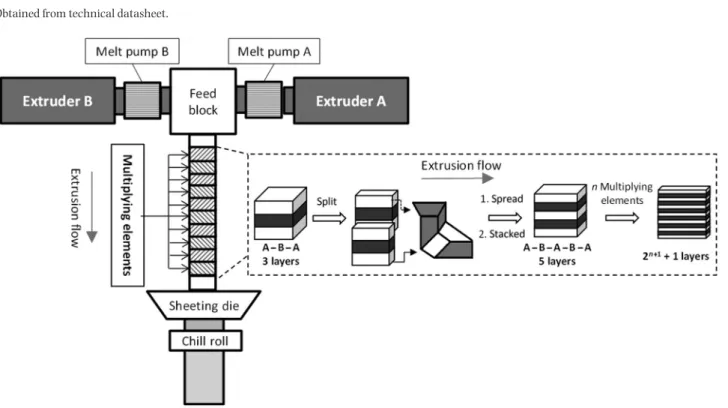 Fig. 1. Principle of the multiplication of layer by the multilayer coextrusion process to fabricate the films.