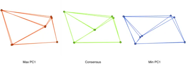 Figure 18.  Variabilité de conformation dans PC1 (Maximum sur PC1 en rouge, Consensus en vert et  Minimum sur PC1 en bleu) du septum muqueux
