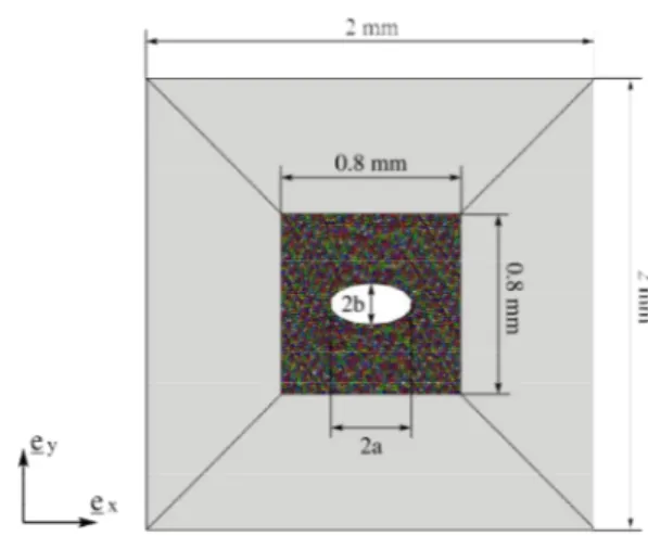 Figure 1. Shape and dimensions of the polycrystalline aggregate and the homogeneous  matrix used in the finite element analysis