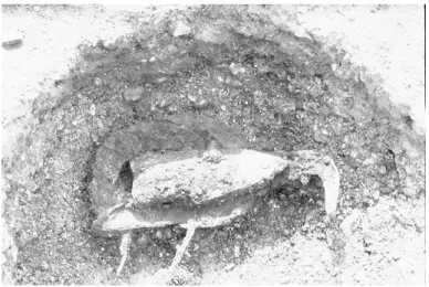 Fig. 4. Dépôt d’objets métalliques de Portejoie à  Tournedos-sur-Seine, Eure. © Florence Carré,  Mi-nistère de la Culture, SRA Normandie