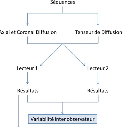 Figure 1 Diagramme de lecture des séquences IRM par les 2 lecteurs 