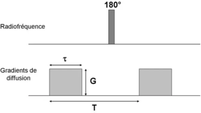 Figure 1. Application des gradients de diffusion de part et d’autre de l’impulsion de  180°