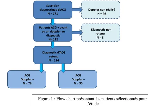 Figure 1 : Flow chart présentant les patients sélectionnés pour  l’étude 