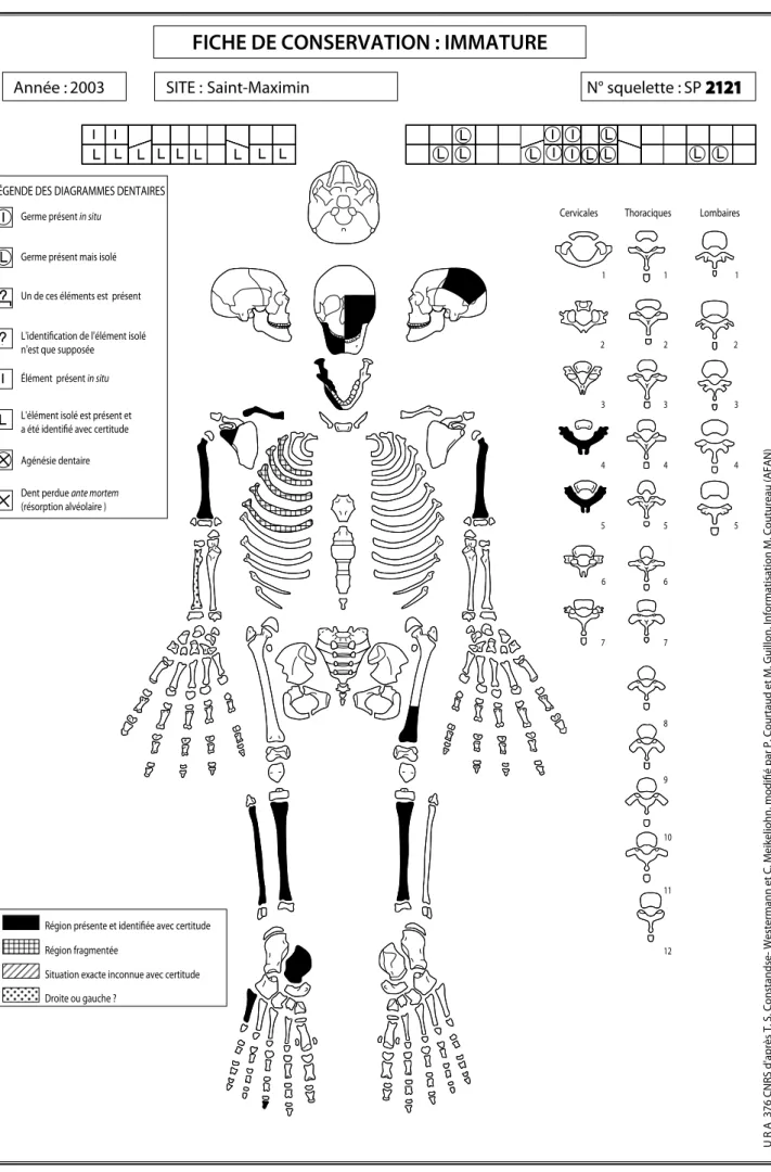 Fig. 1 – Fiche descriptive des éléments conservés du squelette de la sépulture SP 2121.