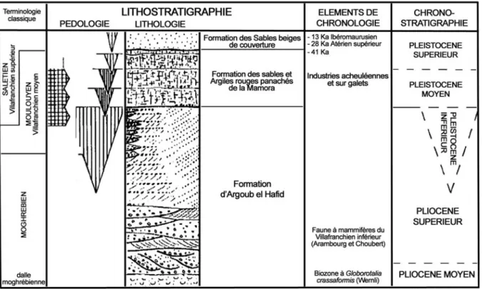 Figure 5 - Place des industries préhistoriques au sein de la formation de la Mamora (d’après Texier  et al., 1992).