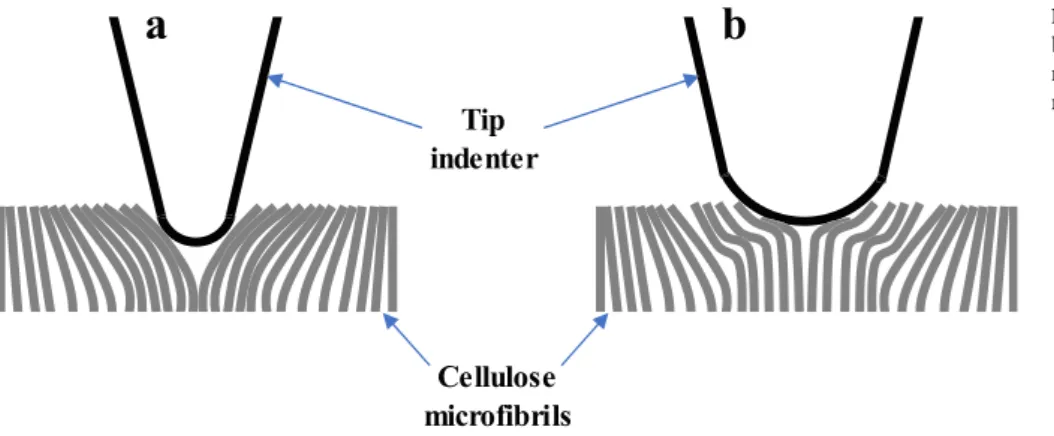 Fig. 9 shows scratching traces performed on ﬂ ax ﬁ bers and PP matrix.