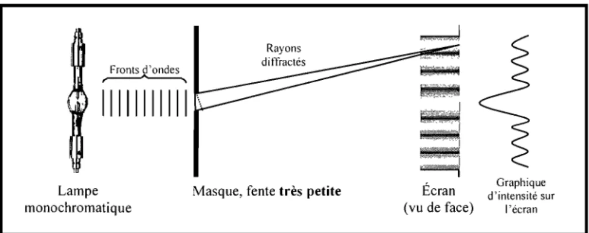 Figure 3 : Schéma qui  représente la  région illuminée dans le  cas d'une ouverture très mince  Fronts d'ondes  ~  11111111111  Lampe  monochromatique  Rayons  dilTractés 