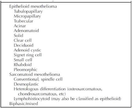 Tableau 2 : Sous-types histologiques et architectures des MMP (65)   