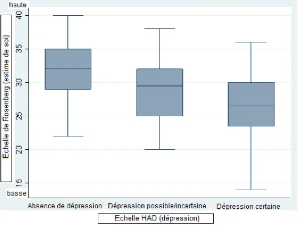 Figure 6 : Echelle de Rosenberg selon les catégories de dépression. 
