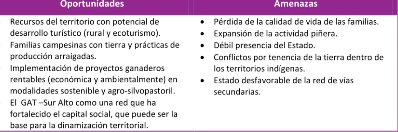 Cuadro 10. Factores externos que caracterizan el territorio Sur Alto 