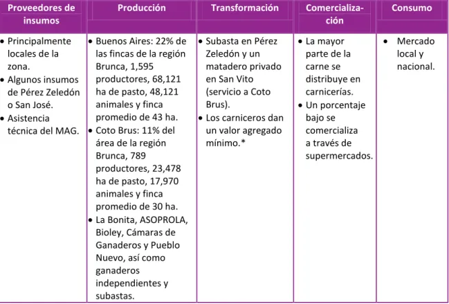 Cuadro 16. Caracterización de la agrocadena de carne bovina  Proveedores de 