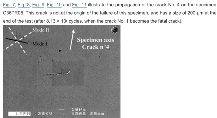 Fig. 7. SEM view of the crack No. 4 0n the sample C36TR05 after 2 × 10 5  cycles. 