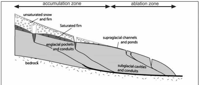 Figure 1.1 Hydrological system of a temperate glacier   Adapted from Jansson et al. (2003) 
