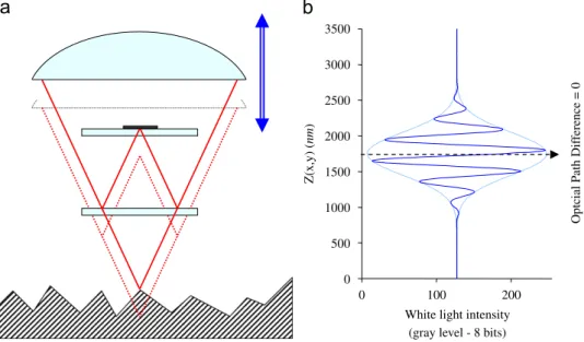 Fig. 11. Principle of a white light interferometer: (a) interferometric lens (‘‘Mirau’’ type); (b) white light interference fringes.