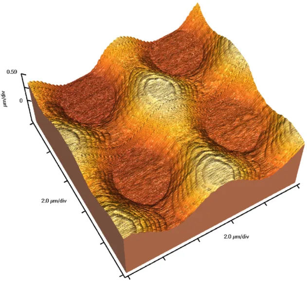 Fig. 2. 3D proﬁle of a grating obtained with an AFM.