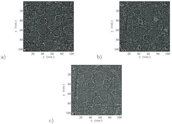 Fig. 4. Reference (a), Deformed (b) and Corrected (c) cut through the specimen for x = 100 voxels.