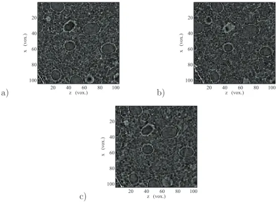 Fig. 5. Reference (a), Deformed (b) and Corrected (c) cut through the specimen for y = 100 voxels.