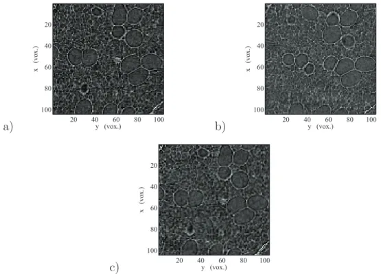 Fig. 6. Reference (a), Deformed (b) and Corrected (c) cut through the specimen for z = 100 voxels.