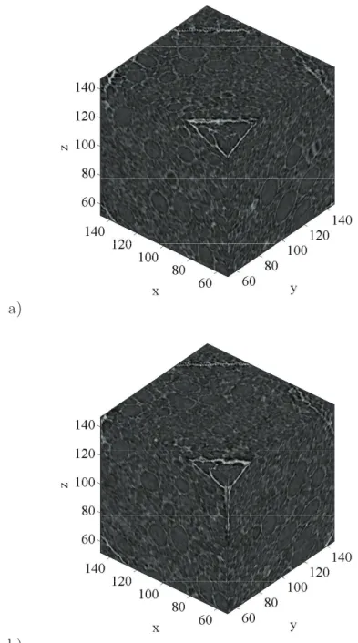 Fig. 1. View of the 96 voxel element volume analyzed in this study (a: reference, b:
