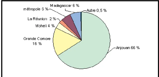 Figure 4 : répartition des lieux de naissance chez les individus nés hors de Mayotte résidant sur l’île  en octobre 2007 (source annexe 20) 