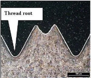 Figure 6. Analysed zone of formed thread. 
