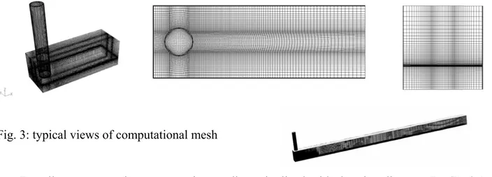 Fig. 3: typical views of computational mesh 