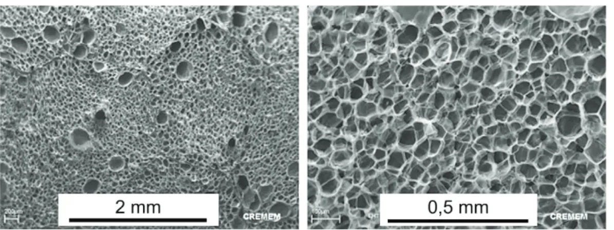 Fig. 21. SEM micrographs of the EPP foam B microstructure, r ¼ 90 kg m 3 .