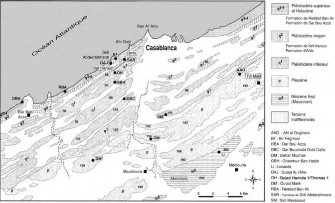 Figure 2 - Carte détaillée de la zone de Casablanca (d’après Lefèvre et Raynal, 2002).