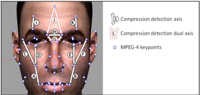 Fig. 2 shows the different compression rules. Joy triggers crow’s feet wrinkles (C,  and  F  axes)  and  naso-labial  folds  (A  and  B  axes)
