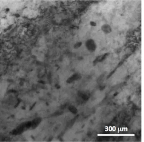 Figure 7: TEM micrography from the core of Fe-0,35%C-3%Cr nitrided 100 h at 550˚C.