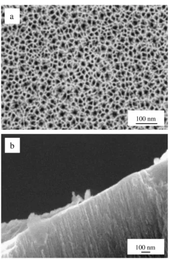Fig. 1 shows SEM micrographs of the top surface of the 60%