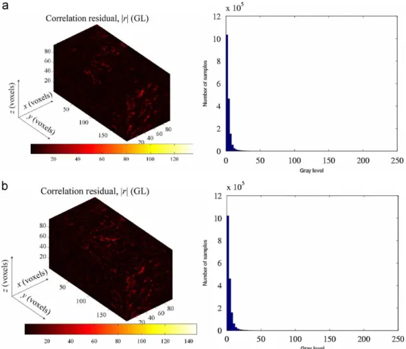 Fig. 4. Correlation residual measured in gray levels and corresponding histogram with the same dynamic range as Fig